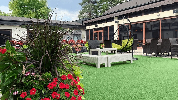 A picture of garden